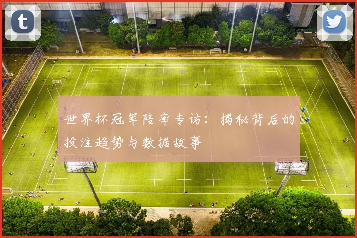 世界杯冠军陪率专访：揭秘背后的投注趋势与数据故事