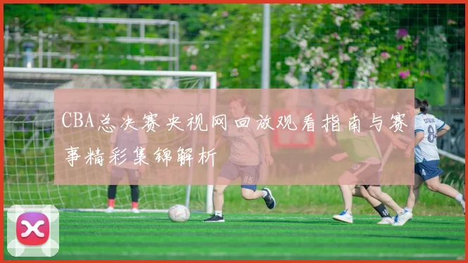 CBA总决赛央视网回放观看指南与赛事精彩集锦解析