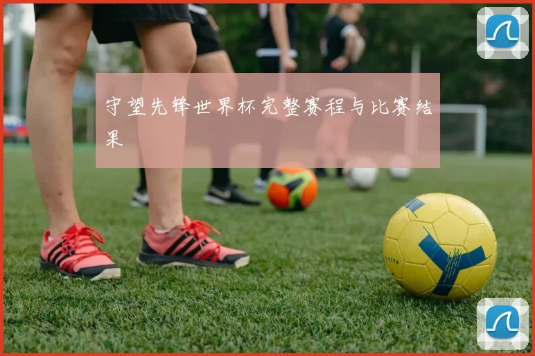 守望先锋世界杯完整赛程与比赛结果