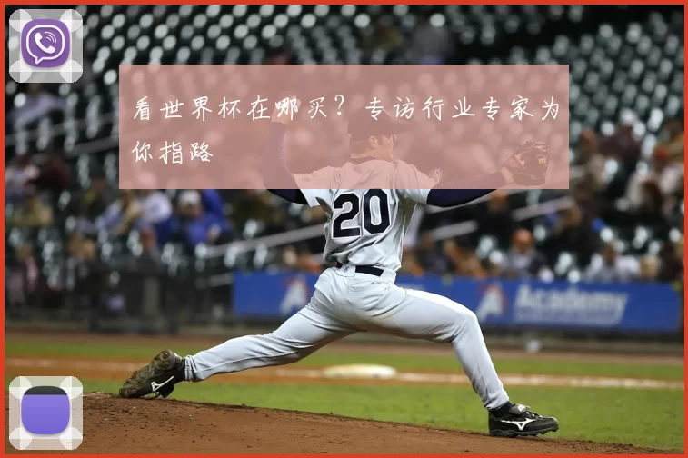 看世界杯在哪买?专访行业专家为你指路