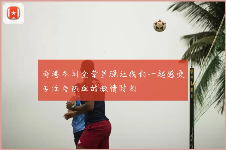 海港冬训全景呈现让我们一起感受专注与热血的激情时刻