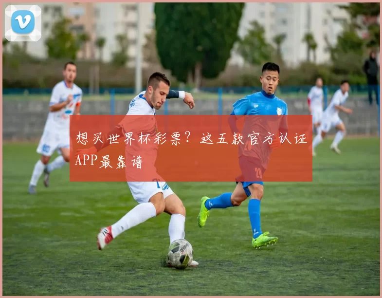 想买世界杯彩票?这五款官方认证APP最靠谱