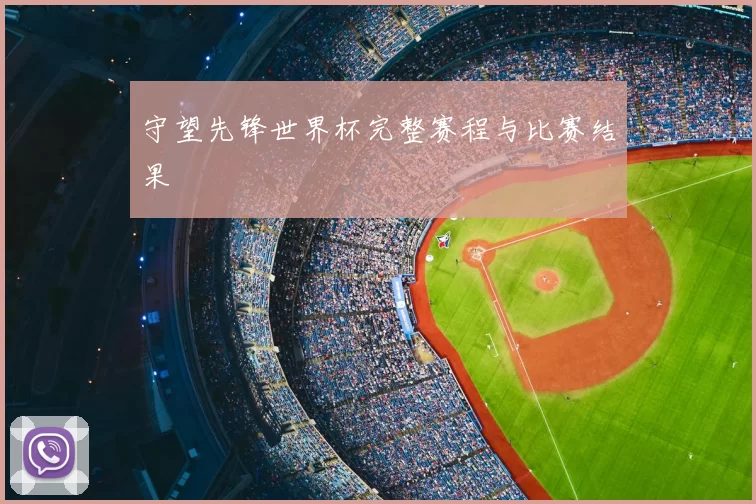 守望先锋世界杯完整赛程与比赛结果