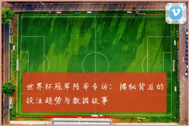 世界杯冠军陪率专访：揭秘背后的投注趋势与数据故事