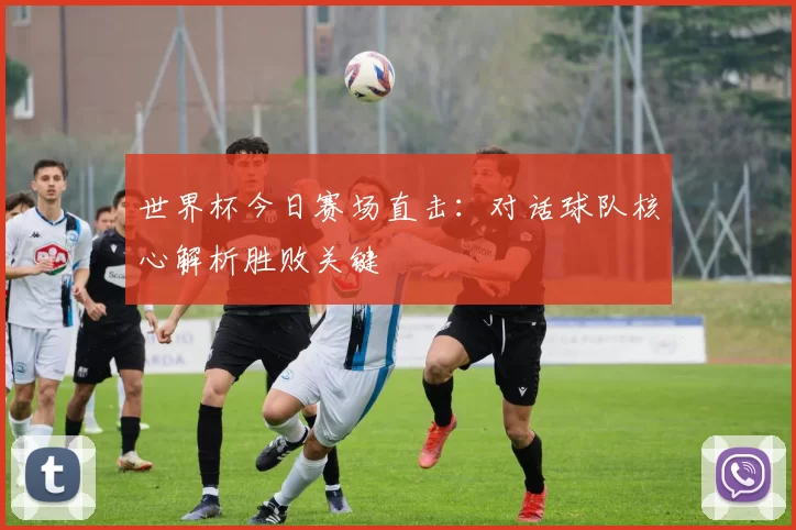 世界杯今日赛场直击:对话球队核心解析胜败关键