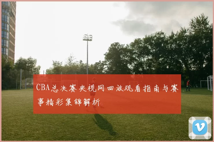 CBA总决赛央视网回放观看指南与赛事精彩集锦解析