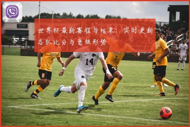 世界杯最新赛程与结果:实时更新各队比分与晋级形势