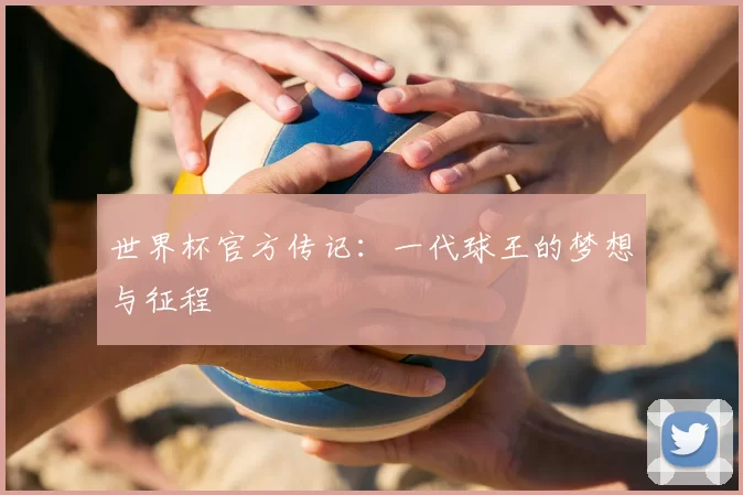 世界杯官方传记:一代球王的梦想与征程