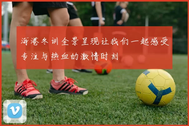 海港冬训全景呈现让我们一起感受专注与热血的激情时刻
