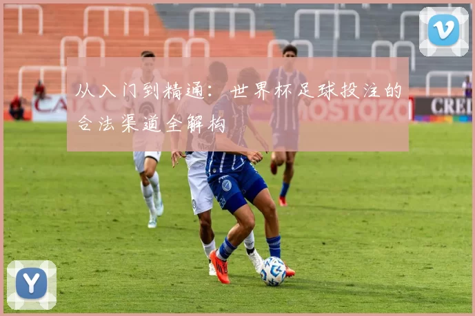 从入门到精通:世界杯足球投注的合法渠道全解构