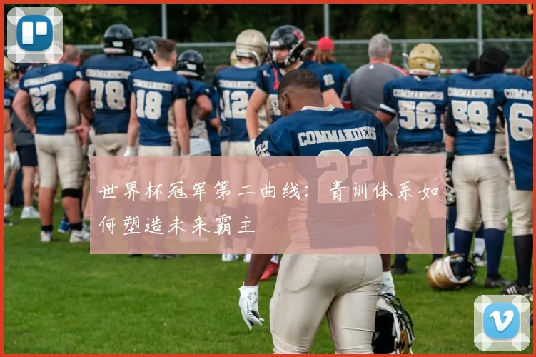 世界杯冠军第二曲线:青训体系如何塑造未来霸主