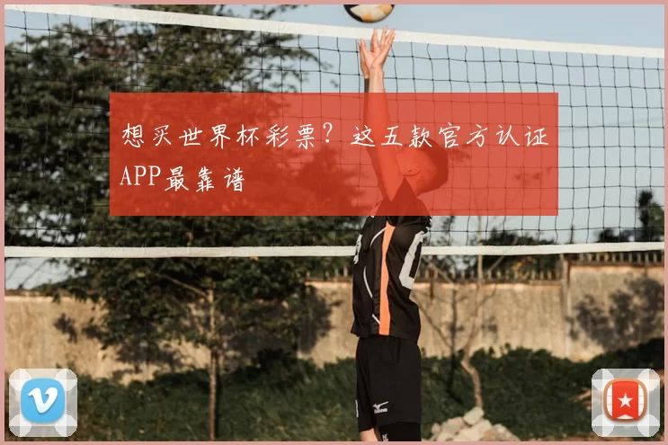 想买世界杯彩票?这五款官方认证APP最靠谱